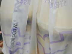 -一只酸奶牛(来福士店)