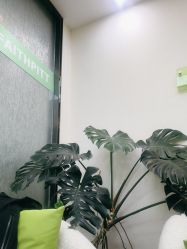 -凡碧诗毛孔清洁收细