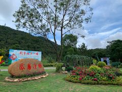 -东莞观音山旅游风景区