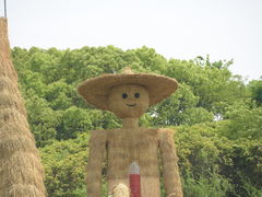 -东方绿舟景区