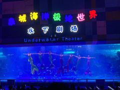 -泉城欧乐堡海洋极地世界