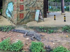 -东莞香市动物园