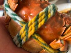 清蒸阳澄湖大闸蟹公蟹-丫丫蟹庄·苏式园林农家乐·阳澄湖大闸蟹(阳澄湖莲花岛店)