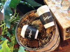 -Seesaw Coffee(朝阳大悦城店)