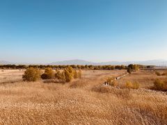 -野鸭湖国家湿地公园