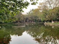 -望江楼公园