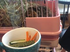 -藦茜花园宠物主题亲子互动体验馆(国顺东路店)
