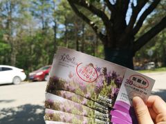-大塘金香草谷