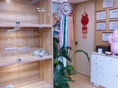 -猫十亿·布偶金渐层·曼基康矮脚猫舍(青年路店)