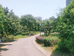 -张坝桂圆林公园