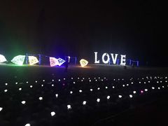 -祥源·阜阳生态乐园