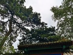-红螺寺