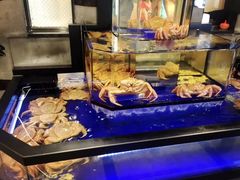 -蟹道乐(道顿堀本店)