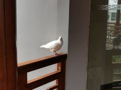 -黄山香茗国际酒店