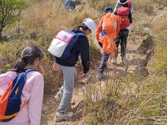 -阳台山自然风景区