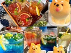 高颜值饮品-柴犬高等学院·狗咖·柴犬售卖·宠物训练