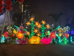 -锦江乐园舞狸花花游园会(夜场专享)