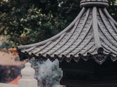 -深圳仙湖植物园