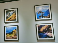 -中南·融创玖华台