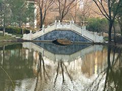 -郑州植物园