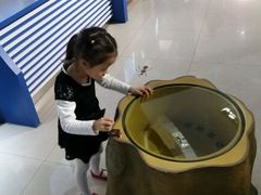 -上海昆虫博物馆