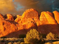 -御蝶坊生日蛋糕KNAC(创业店)