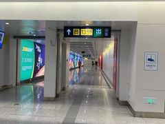 -望京西(地铁站)