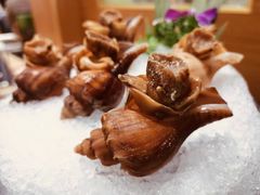 潮汕响螺-金龙·打边炉(武进路店)