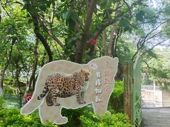 -攀枝花公园