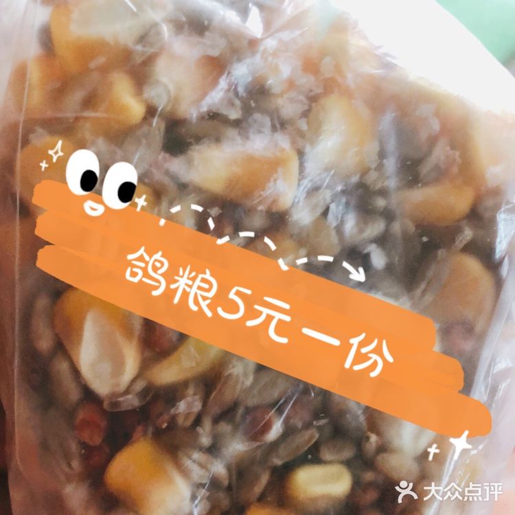 🐦来人民公园和和平鸽子来个邂逅吧