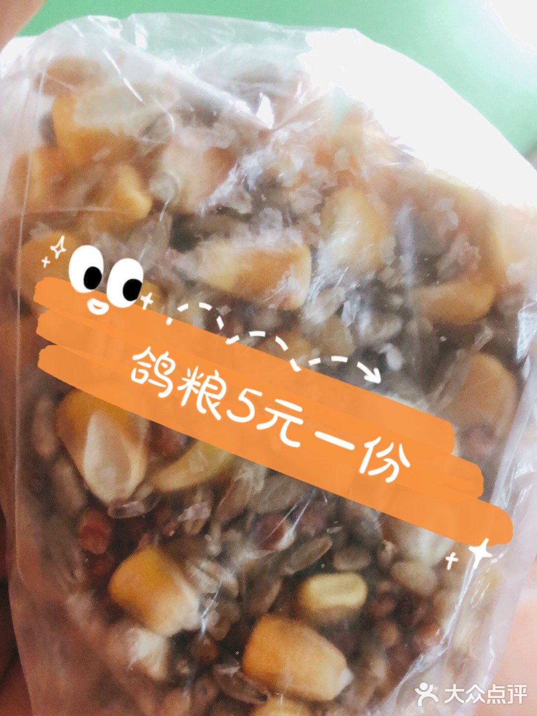 🐦来人民公园和和平鸽子来个邂逅吧