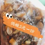 🐦来人民公园和和平鸽子来个邂逅吧