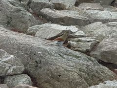 -狼山风景名胜区