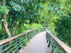 -深圳仙湖植物园