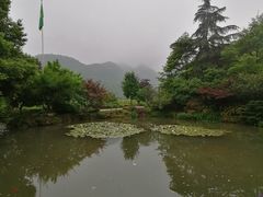 -中国茶叶博物馆(双峰馆区)