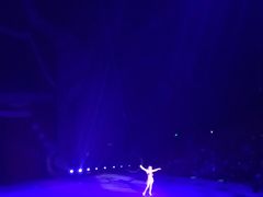 -珠海横琴长隆《卡卡虎奇遇记》