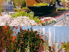 -海心沙亚运公园