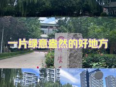 -川名堂四川特产(川办店)