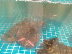 -大润发(梅兰东路店)