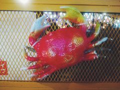 -胖哥俩肉蟹煲(来福士店)