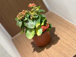 -如一·美甲美睫