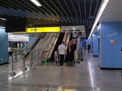 -大龙山(地铁站)