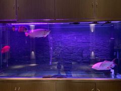 -手佳·水疗汇(嘉益店)
