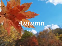 -丹东天桥沟景区