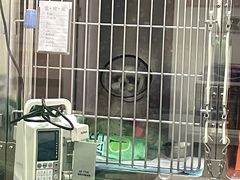 -爱妮康宠物医院·干细胞免疫细胞·肿瘤·心脏(张江店)