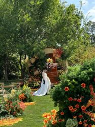 -琥珀婚礼策划AMBER WEDDING