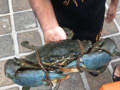 -Ministry of Crab(科伦坡店)