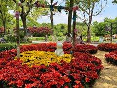 -上海鲜花港
