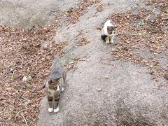 -崂山巨峰游览区