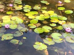 -三亚海棠湾万丽度假酒店